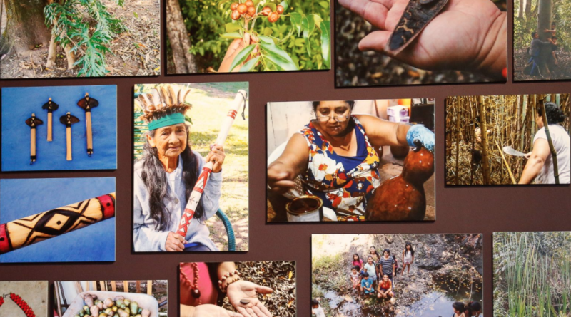Populações indígenas: legado de saberes críticos para o bem viver